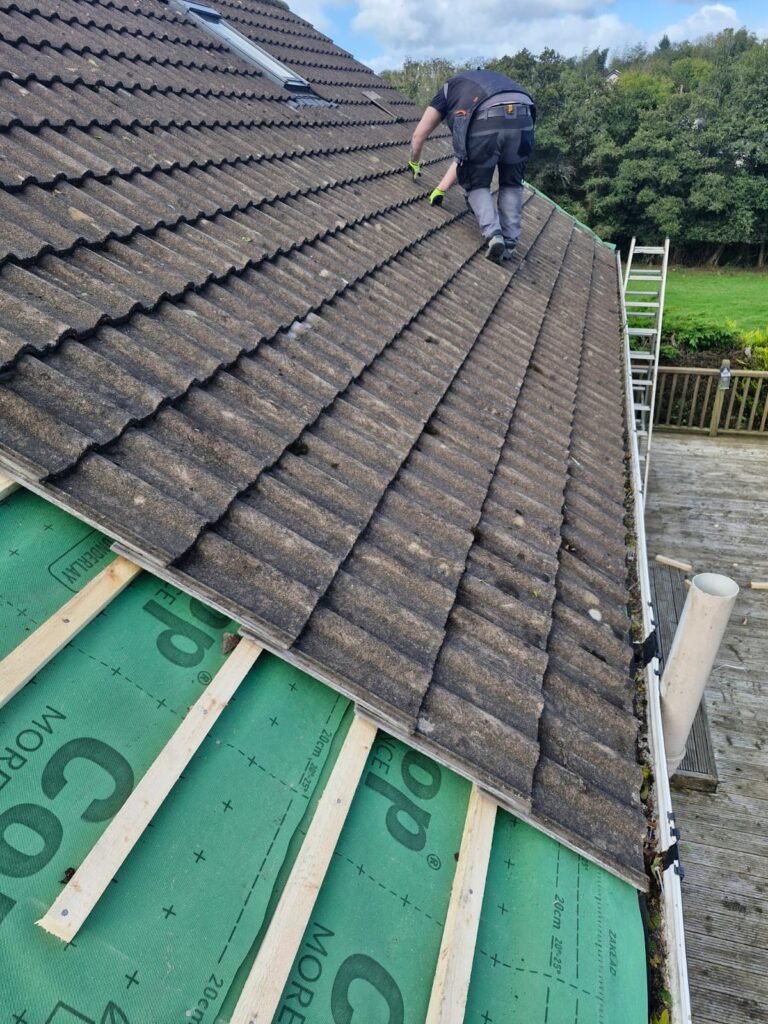 photo from a&c agile web design (14)