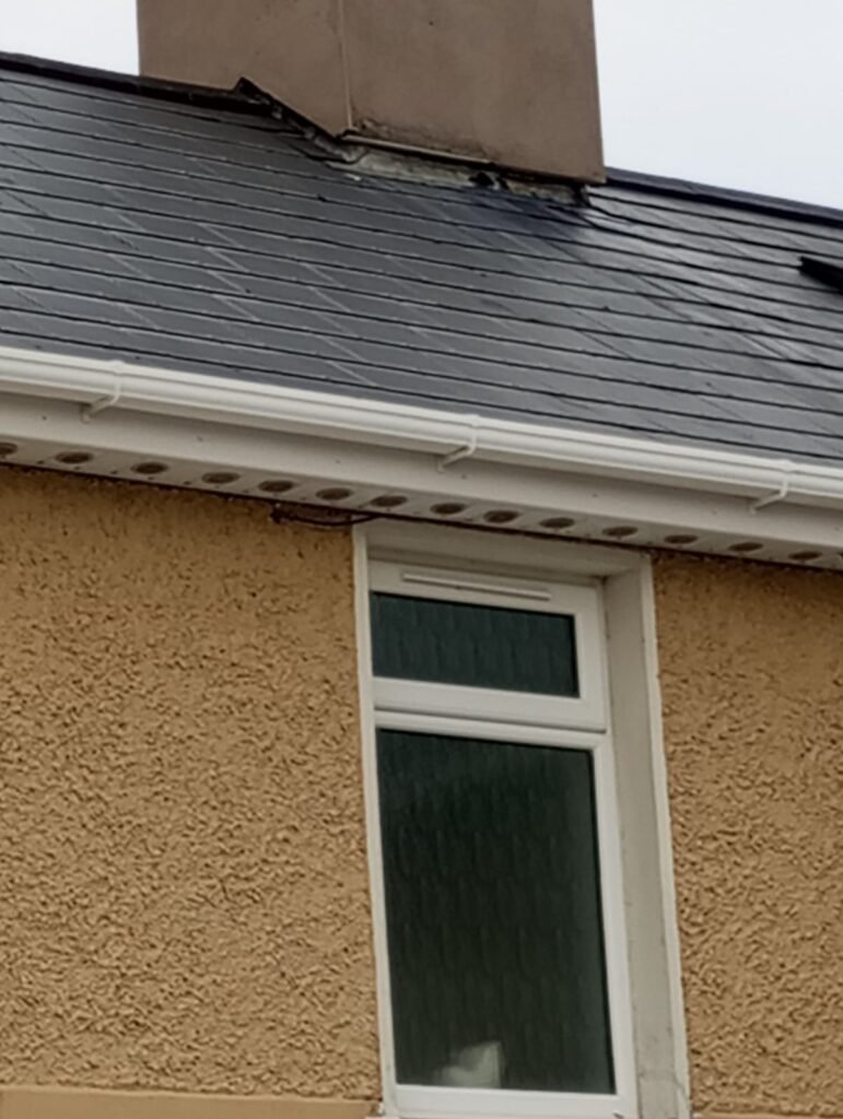 whatsapp image 2025 10 22 at 16.14.15 (1)