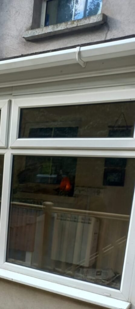 whatsapp image 2025 10 22 at 16.14.15